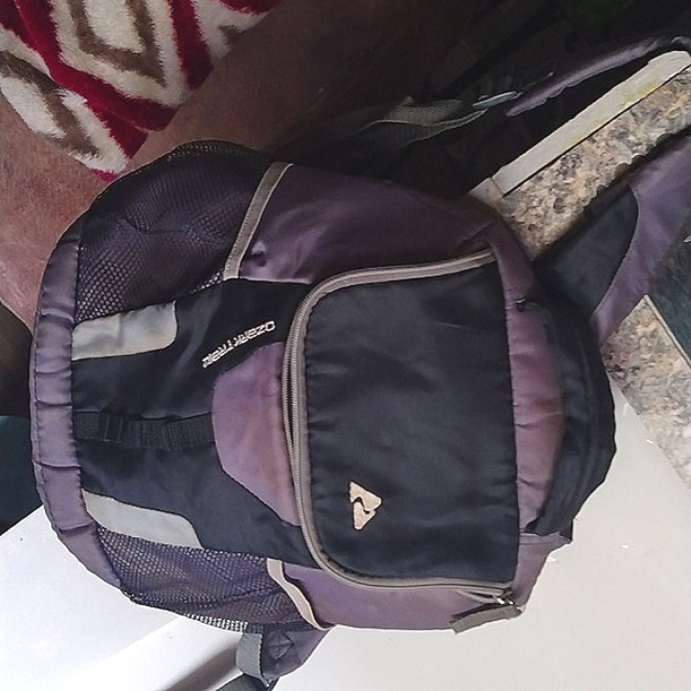 Ozark Trail Backpack Cooler